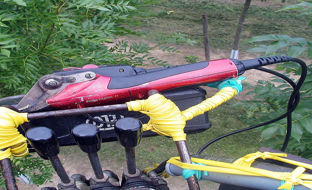 Motor Tree Pruner