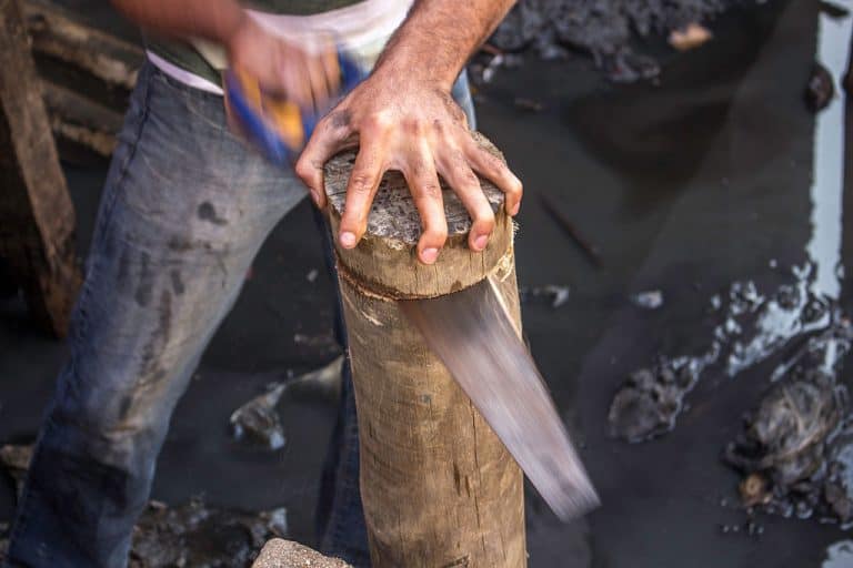 The Best Hand Saw for Cutting Trees: Ultimate Reviews and Guide