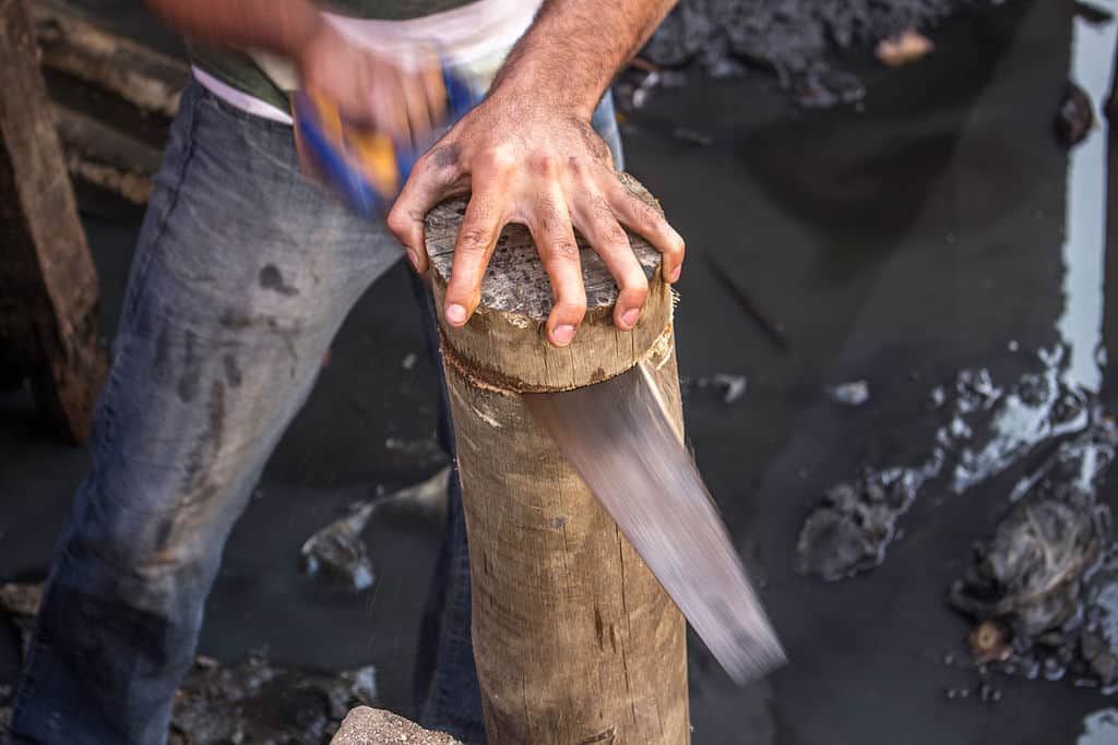 hand saw in action cutting a piece of wood