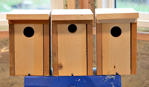bluebird house