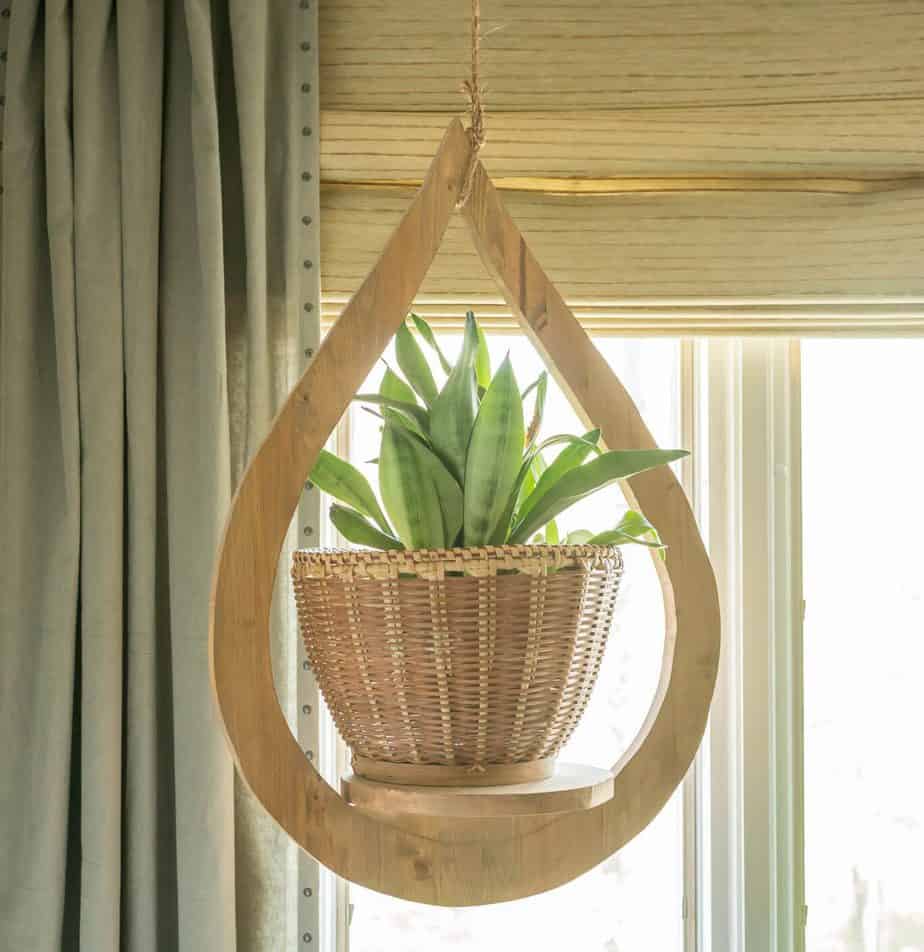 plant hanger